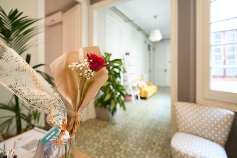 Wekow Business Community, photo 7